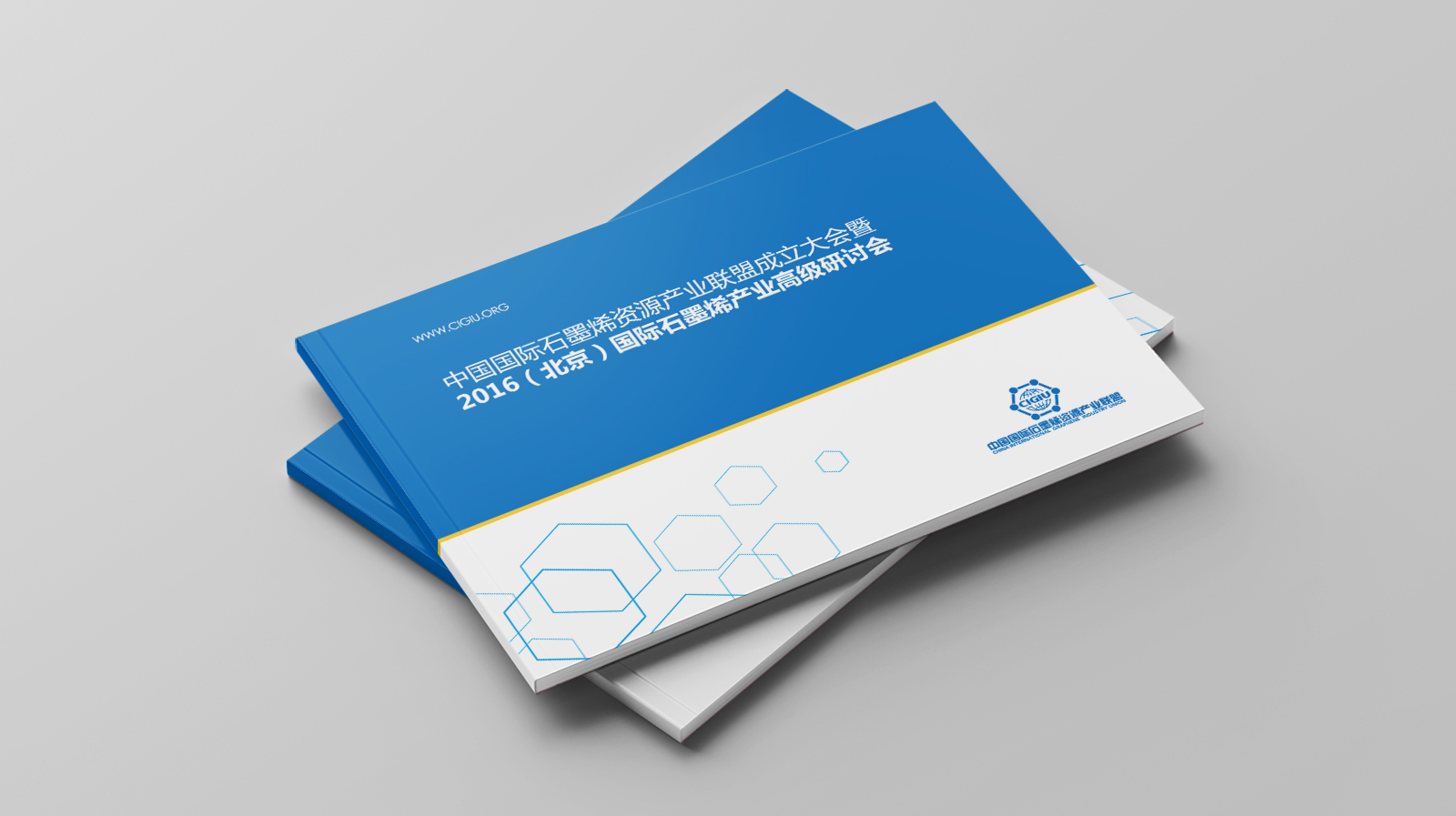 政府类画册设计需要注意什么？